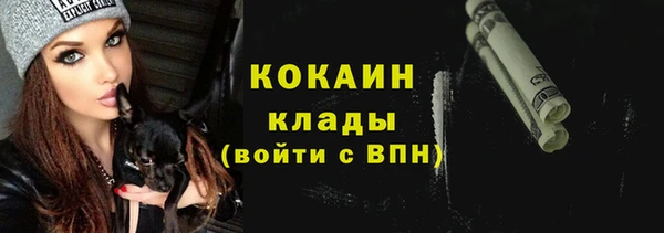 стаф Абаза