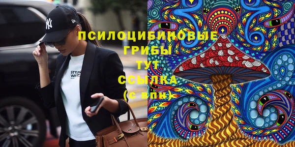 бошки Абинск