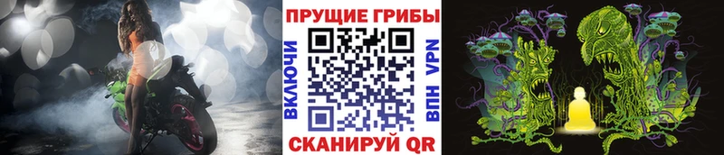 Галлюциногенные грибы Psilocybine cubensis  Усть-Катав 
