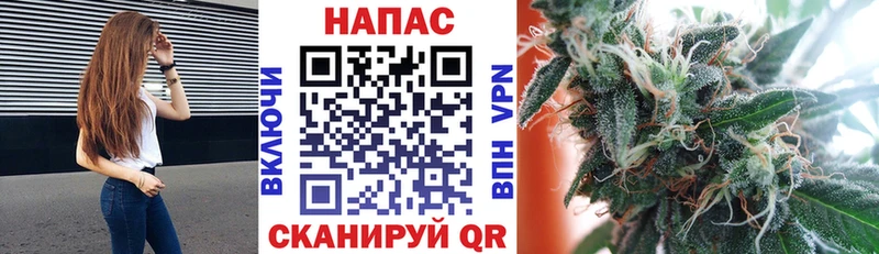 это состав  Усть-Катав  Шишки марихуана OG Kush 